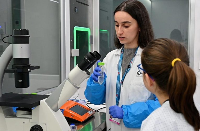 La Comunidad de Madrid divulga su labor en innovación e investigación con más de 700 actividades en la XIV Feria Madrid es Ciencia