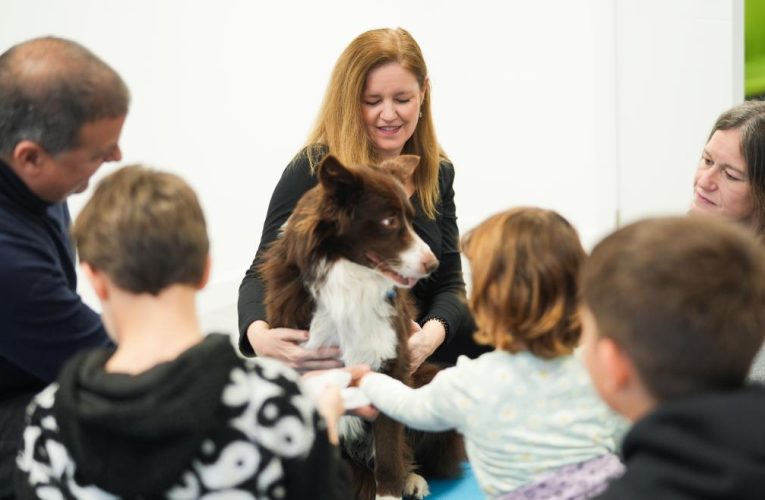 La Comunidad de Madrid ofrece terapias con perros adiestrados para favorecer la recuperación a mujeres víctimas de violencia y sus hijos