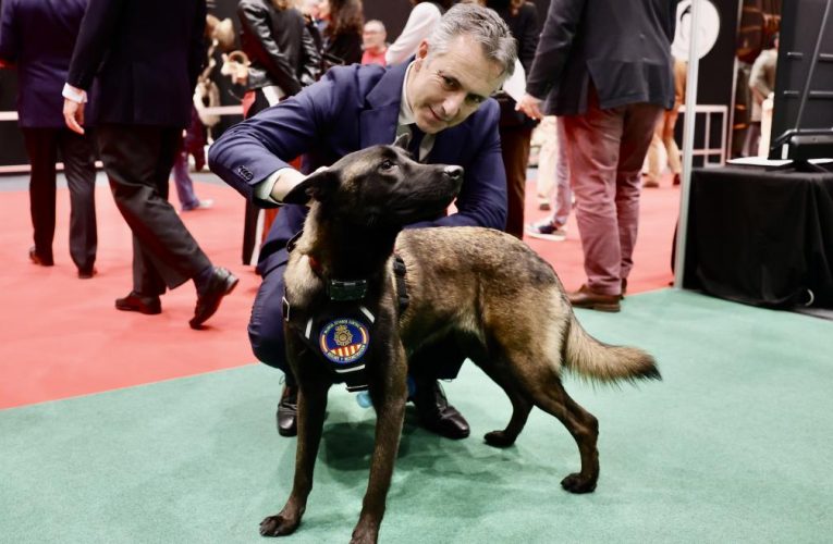 La Comunidad de Madrid, reconocida con la etiqueta de calidad Wildlife Estates por su excelente gestión de la Reserva Nacional de Caza de Sonsaz
