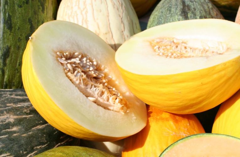 La Comunidad de Madrid estudia aprovechar los subproductos de sandía y melón como ingredientes de nuevos lácteos saludables