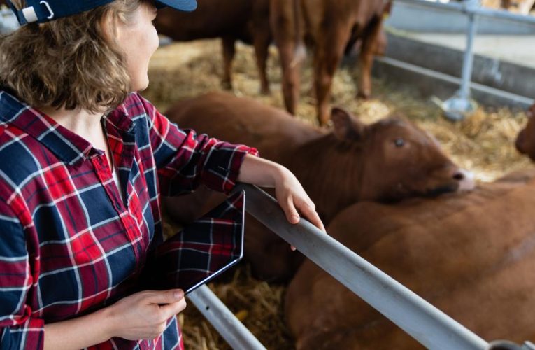 La Comunidad de Madrid inicia un programa para asesorar a mujeres rurales en la creación de empresas y facilitar su acceso al mercado laboral