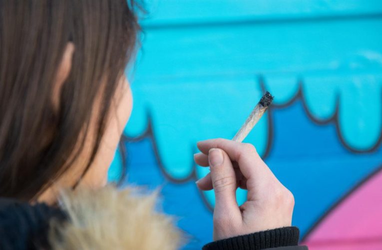 La Comunidad de Madrid constata que el cannabis es la sustancia ilegal de mayor consumo en la región con un ligero incremento en 2024