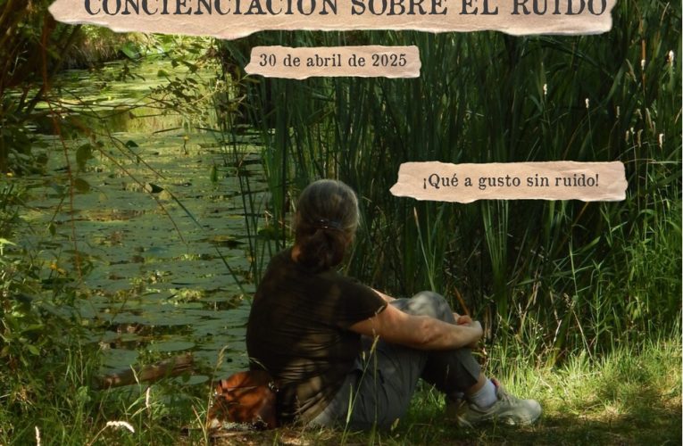 Día Internacional de Concienciación sobre el Ruido, 30 de abril