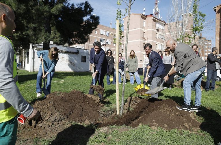 Hortaleza promueve la sostenibilidad y la educación ambiental con la plantación de nuevo arbolado