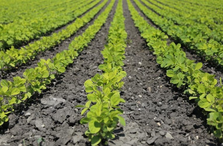 La Comunidad de Madrid destina 4,2 millones en ayudas para el fomento de la inversión en industrias agroalimentarias