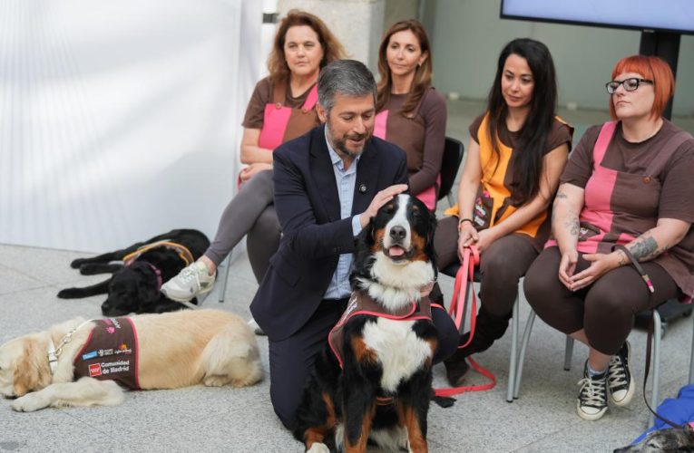 La Comunidad de Madrid aumenta un 25% las asistencias a menores con perros de apoyo en los juzgados