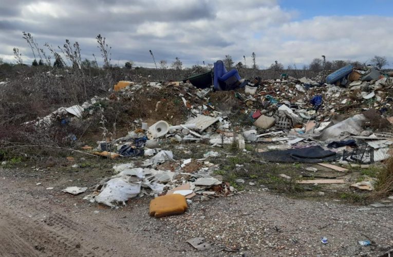 La Comunidad de Madrid invierte casi 3 millones para la recuperación ambiental de 95.000 m2 del entorno natural de Los Huertecillos