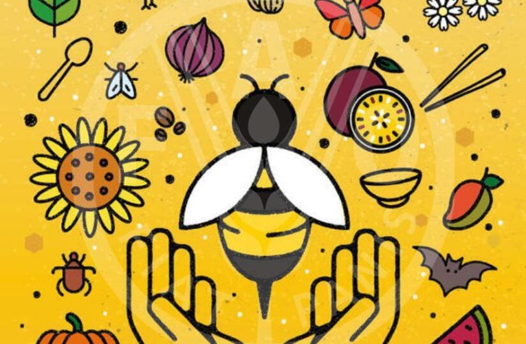 Día Mundial de las Abejas, 20 de mayo