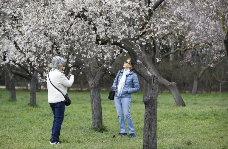 El programa Pasea Madrid retoma sus visitas guiadas con nuevas temáticas, más distritos y casi 22.000 plazas gratuitas