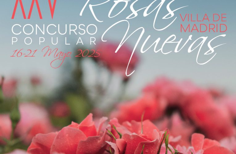 25 Concurso popular Rosa de Madrid