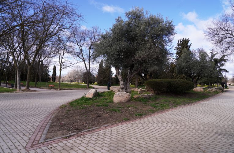 El parque de las Cruces, ubicado entre los distritos de Carabanchel y Latina, será objeto de una tercera fase de rehabilitación
