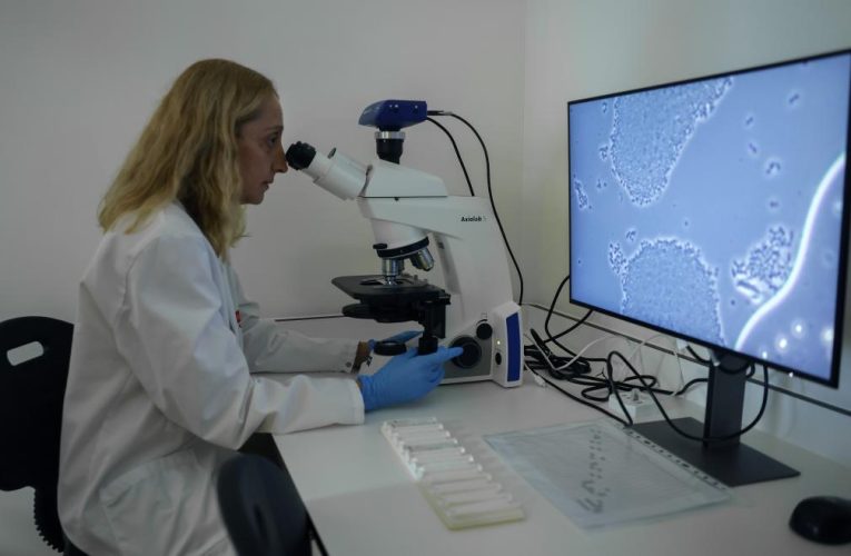 Díaz Ayuso anuncia un proyecto para crear y consolidar startups en sectores estratégicos como la biotecnología, el medioambiente y el aeroespacial