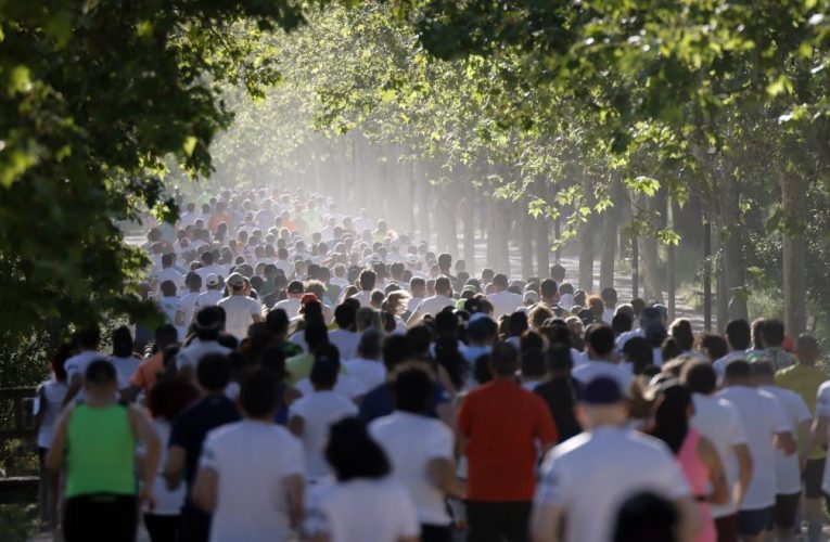 Más de 500 corredores han participado en el II Cross Arco Verde, en el Parque Polvoranca de Leganés