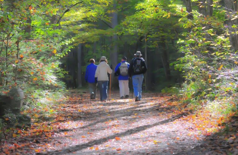 La Comunidad de Madrid estrena el Carpetania Walking Festival con 10 rutas guiadas para practicar senderismo en la Sierra Norte