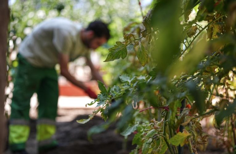 La Comunidad de Madrid invierte 58 millones para la atención integral de menores infractores en dos centros especializados