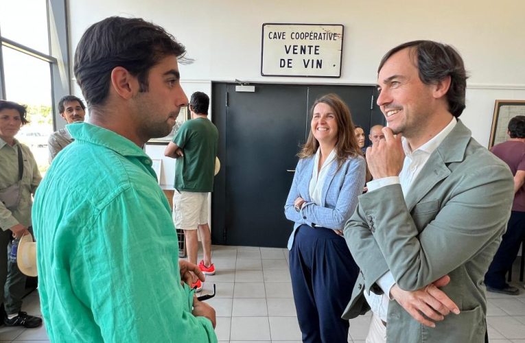 La Comunidad de Madrid intercambia conocimientos vitivinícolas en Montpellier para aprender nuevas técnicas de cultivo