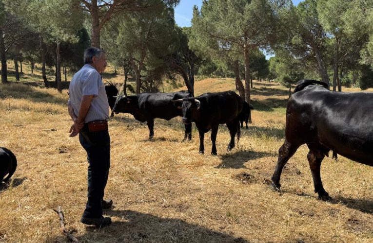 La Comunidad de Madrid aumenta un 10,7% las ayudas a la contratación de seguros agrarios para riesgos naturales o enfermedades contagiosas