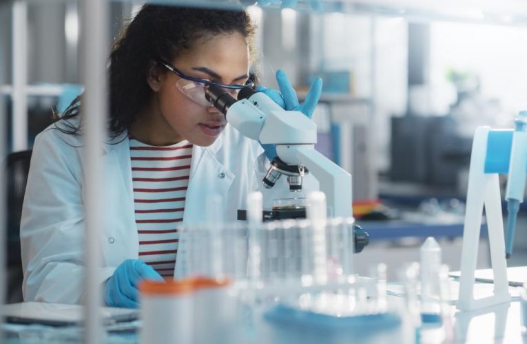 La Comunidad de Madrid aprueba ayudas a la Universidad Complutense para que investigadores vayan a Harvard y Cambridge en EE UU