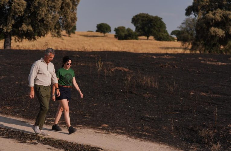 La Comunidad de Madrid aprueba la solicitud de Zona Gravemente Afectada para recuperar las casi 4.000 hectáreas dañadas en los incendios este verano