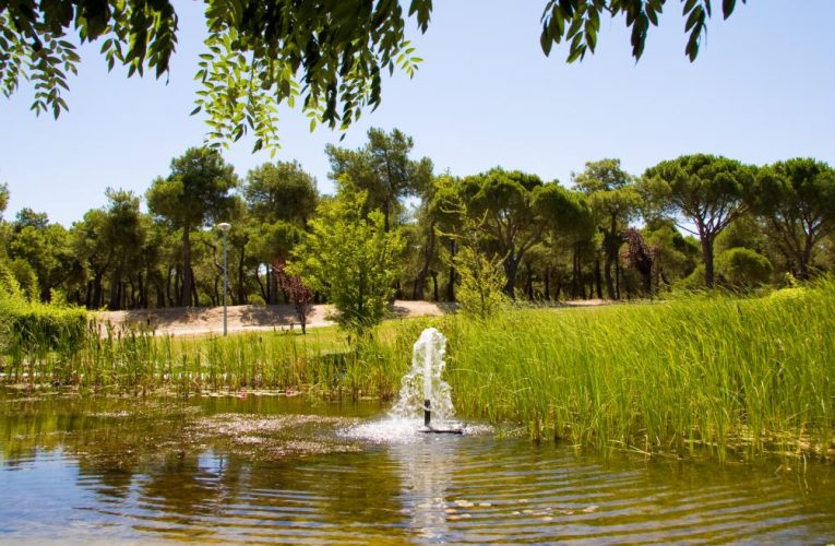 La Comunidad de Madrid consigue ahorrar más de 200 hectómetros cúbicos de agua desde que Canal de Isabel II la regenera en sus depuradoras