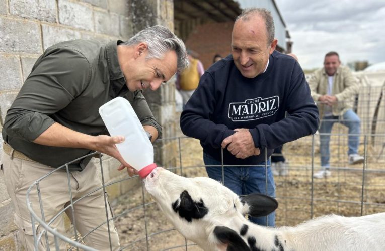 La Comunidad de Madrid aumenta un 29% las explotaciones de bovino para la producción de leche en cuatro años