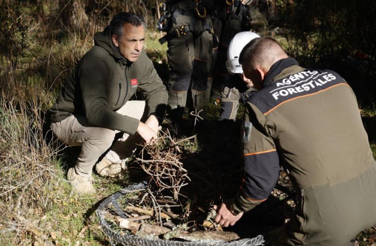 La Comunidad de Madrid realiza más de 140 actuaciones en nidos para la protección de las aves amenazadas en la región