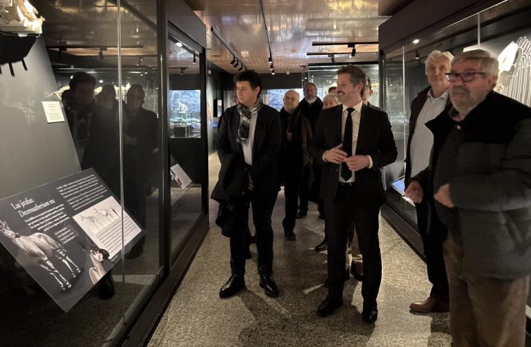 La Comunidad de Madrid rinde homenaje al investigador Emiliano Aguirre con la edición de una guía sobre la historia de la paleontología en la región