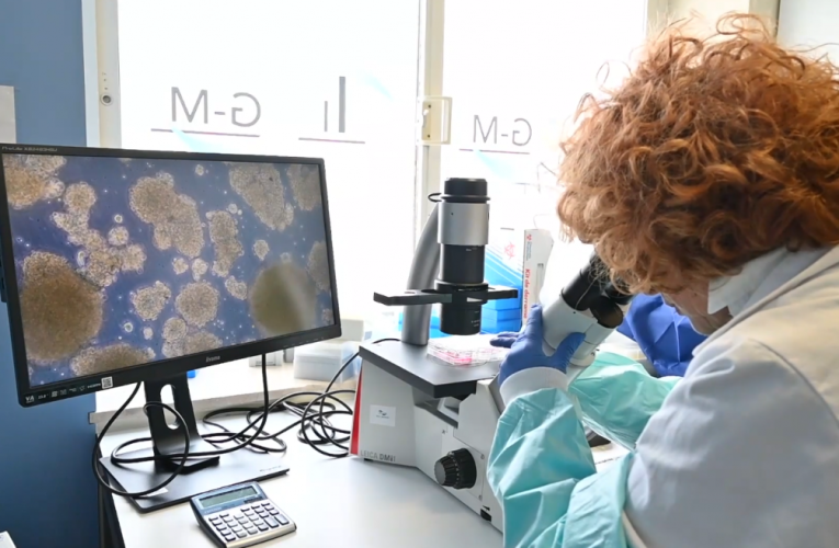 La sanidad pública madrileña se une a la Semana de la Ciencia y la Innovación con más de 80 actividades