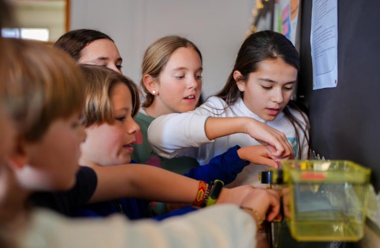 La Comunidad de Madrid garantiza la atención educativa a las necesidades específicas de más de 21.000 alumnos