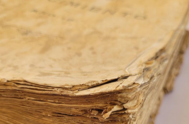 La Comunidad de Madrid recupera 55 libros del Archivo Judicial de Catarroja dañados por las riadas de la DANA en Valencia