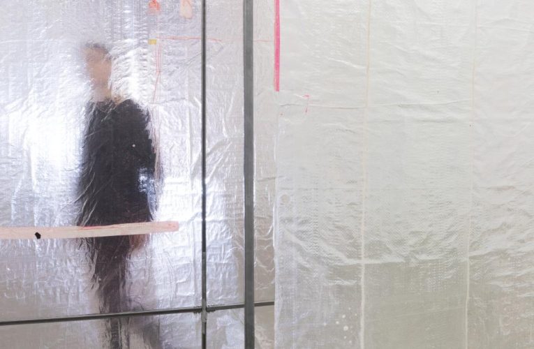El Museo Centro de Arte Dos de Mayo abre año expositivo con dos muestras dedicadas a las artistas Ester Partegàs y Dorothy Iannone