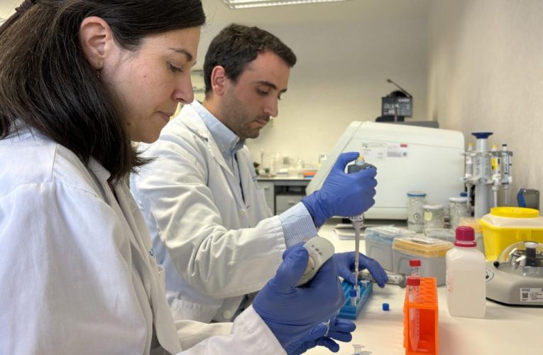 La Comunidad de Madrid crea el programa LÁNZATE para promover la doble carrera clínica y científica de investigadores emergentes