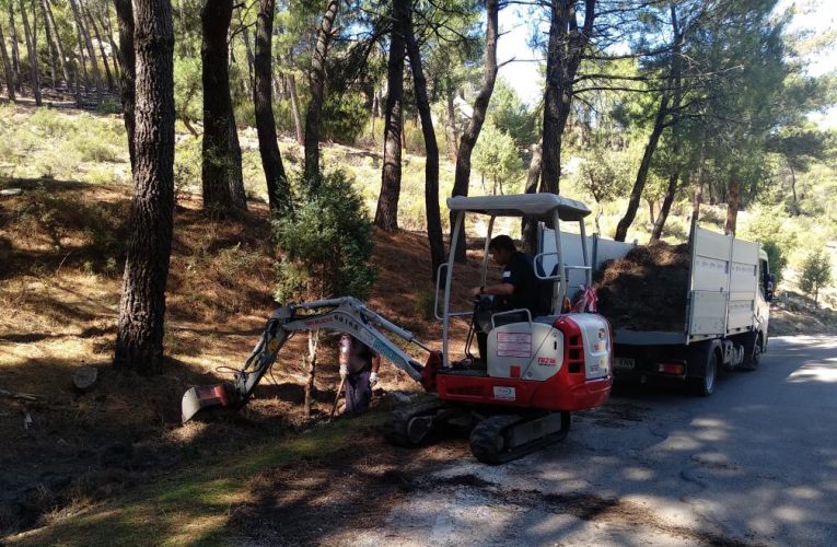 La Comunidad de Madrid invertirá más de 770.000 euros en la restauración de ecosistemas en huecos mineros, robledales y hábitats de alta montaña