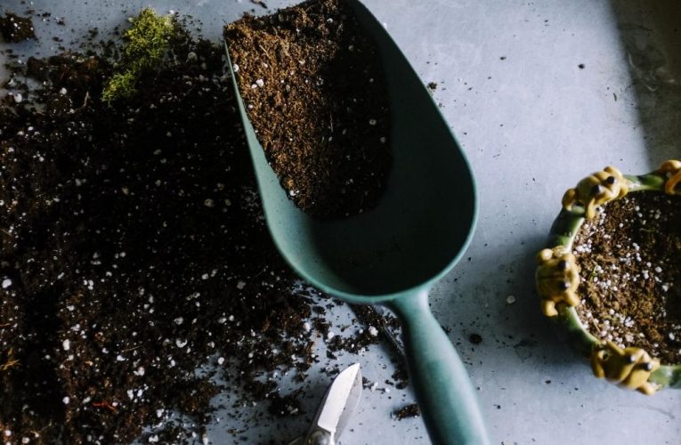 La Comunidad de Madrid convoca los concursos de jardines y huertos en centros de día y residencias de mayores