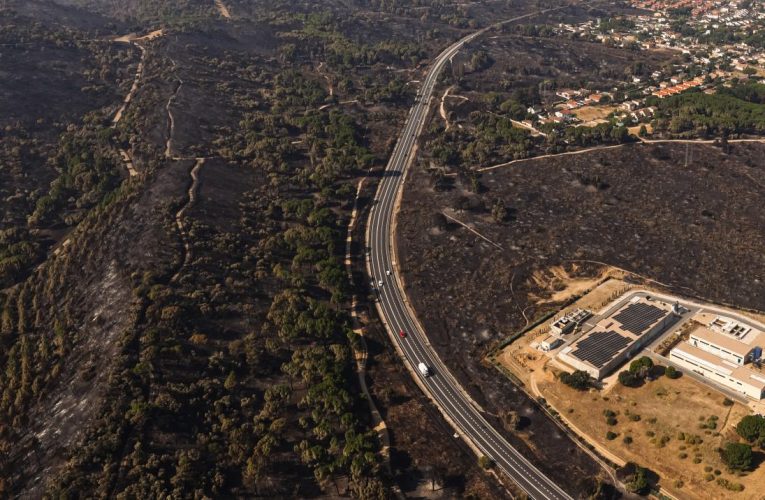 La Comunidad de Madrid invierte en la recuperación de los montes y la protección de la fauna silvestre tras el incendio de la Sierra Oeste