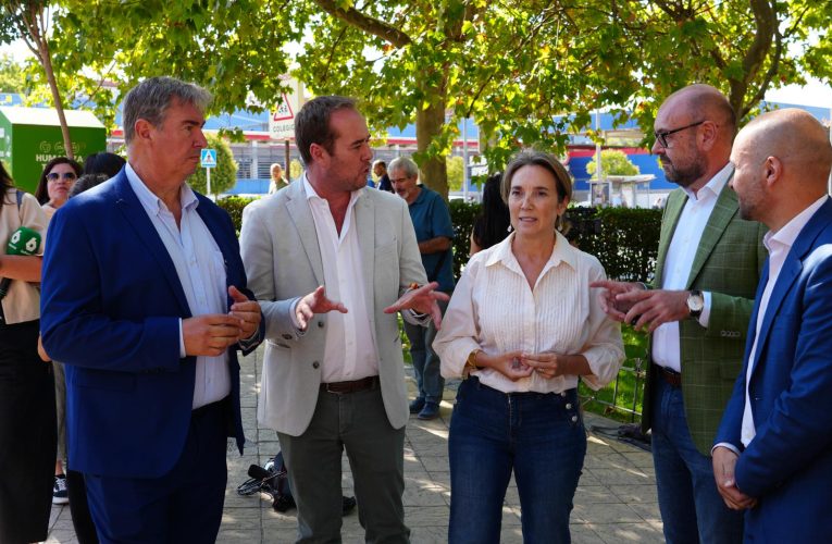 “Pedimos al delegado del Gobierno que se preocupe de la seguridad en nuestros municipios” – PP Madrid