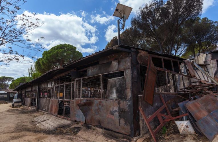 La Comunidad de Madrid invierte 8 millones de euros en ayudas a los autónomos damnificados por los incendios de la Sierra Oeste
