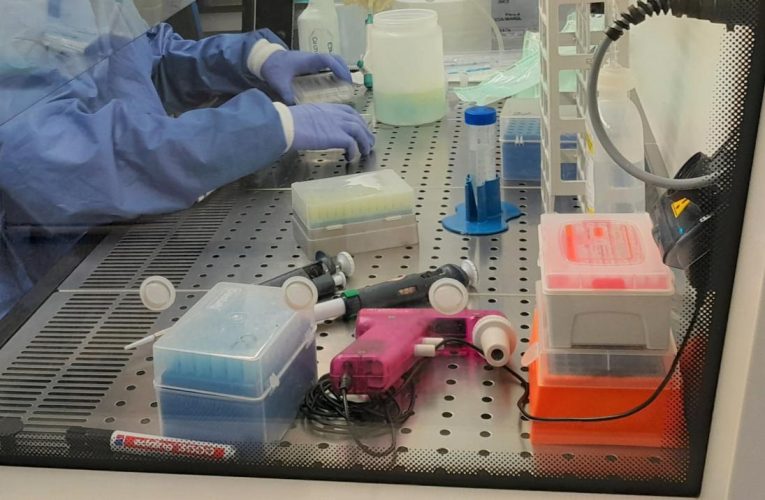 El Servicio de Neurocirugía del Hospital público de La Princesa participa en un estudio internacional que identifica una nueva diana terapéutica para prevenir la metástasis cerebral